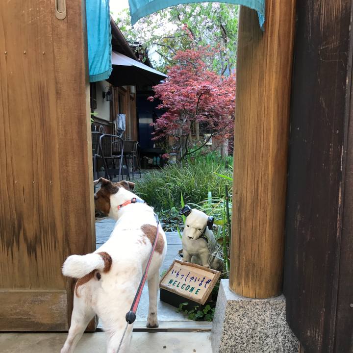 9c3516e3 5c5c 45b6 b35d d16fe4a89bf4