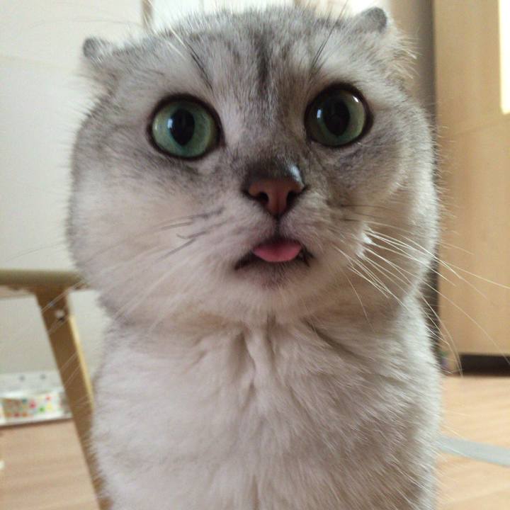 9c352c44 f8c0 4800 bfac e0c660c5b5e8