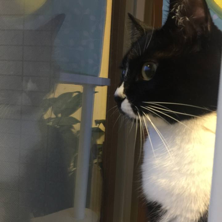 9c35844b 9a94 4146 8203 ea0c7d854980