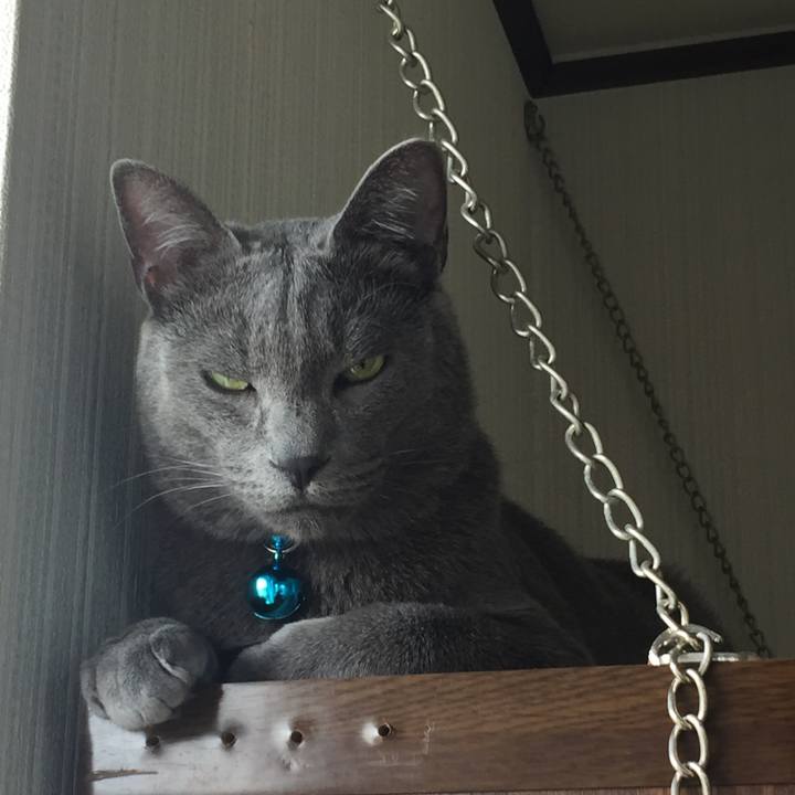 9c35f2b3 cb7c 4df5 bfe1 a9c32e1eada1