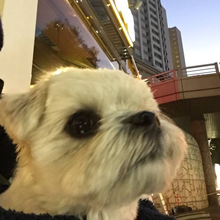 9c36fcec 8d99 45e6 8eae 2f42057cb8c0