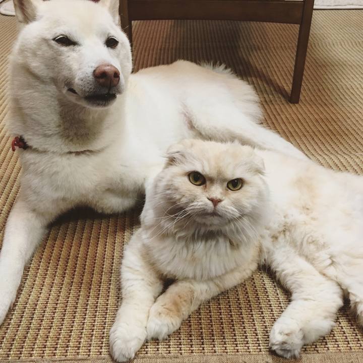 9c374998 4caf 4cb9 a013 0581c0ea51e1