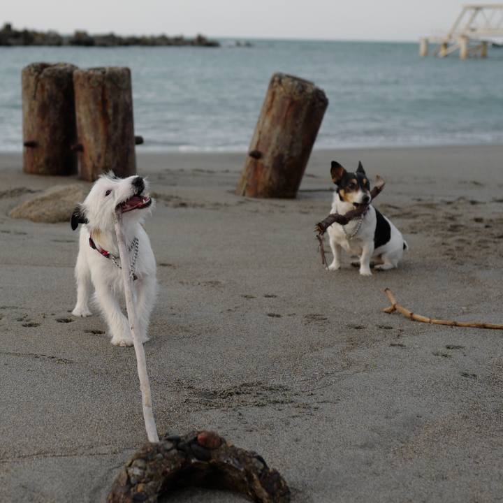 9c37bb28 b865 432b 9510 9982f322558a