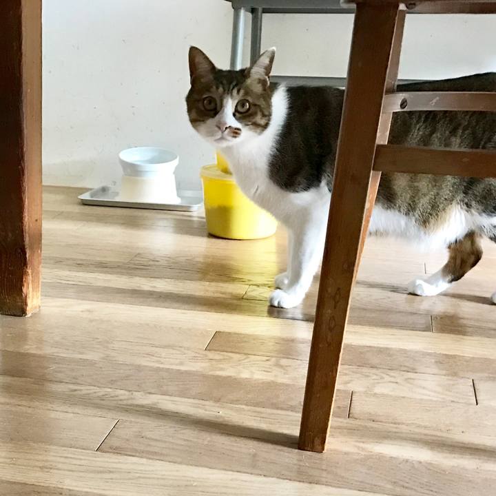 9c38b2c3 33af 4c31 86a5 a388dc887ffb