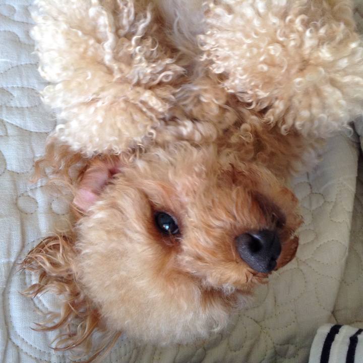 9c39108d 5649 4bc6 a2a1 ebef569c7920