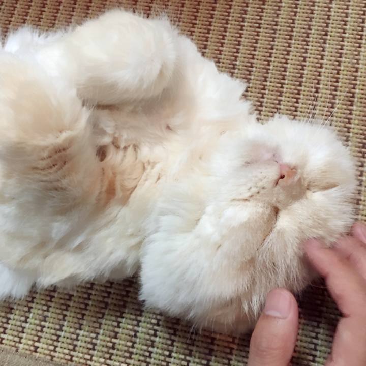 9c392995 193e 4a43 a784 f5df55c2cd9f