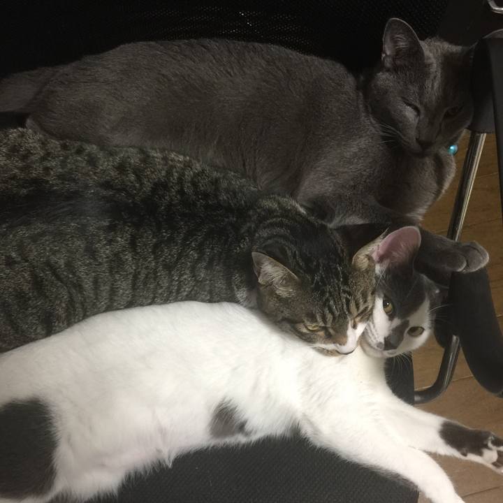 9c398e05 e34c 4b75 9746 c18d60186b05