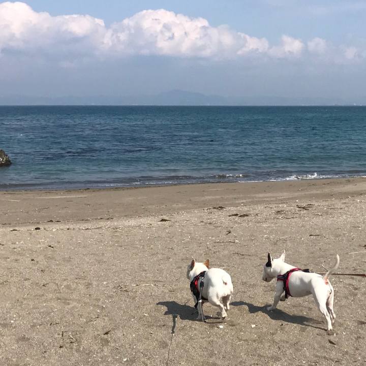 9c3995d7 79fe 44cb 88d7 049c99fe8809