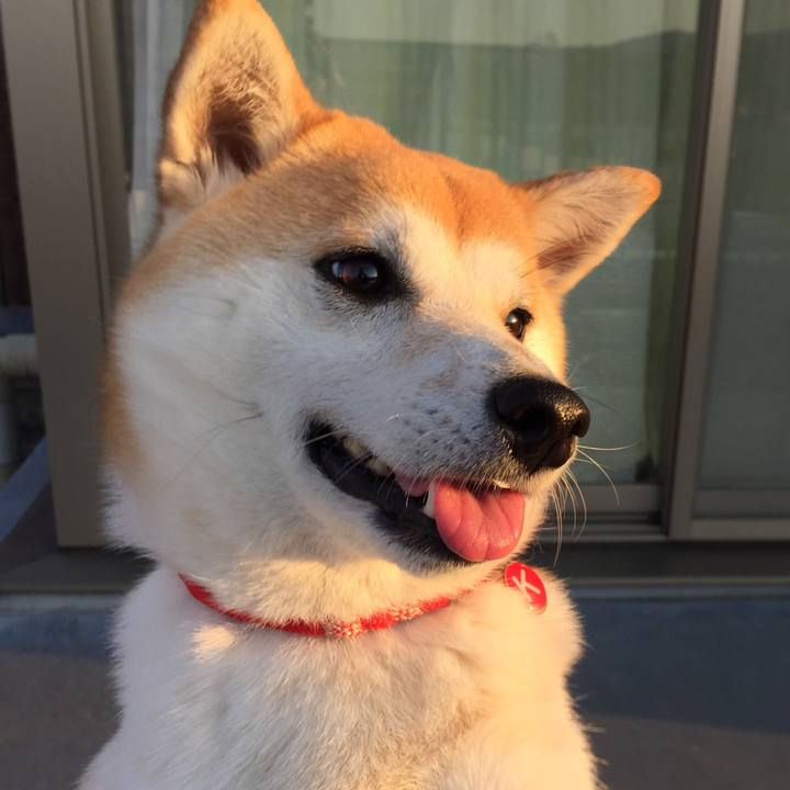 9c399971 abad 4b87 b9ae b4d1a7f5c7aa