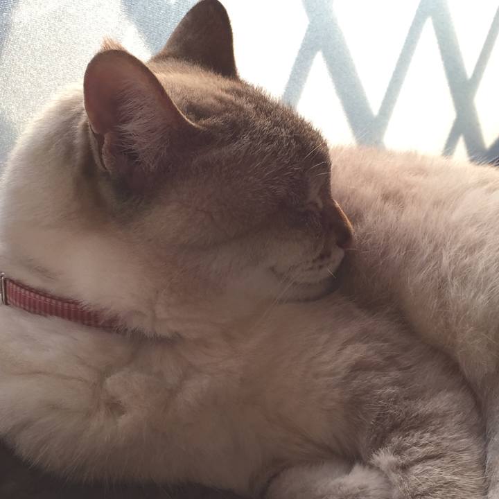 9c39fd83 972f 40fc a08d b9424b4d459a