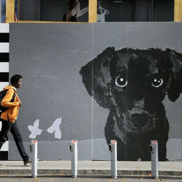 9c3a1df5 9dc0 42b9 9773 93025f11fe2c