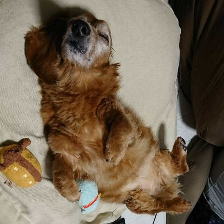 9c3a3c14 2502 4f5a b9c7 0634062ba15c