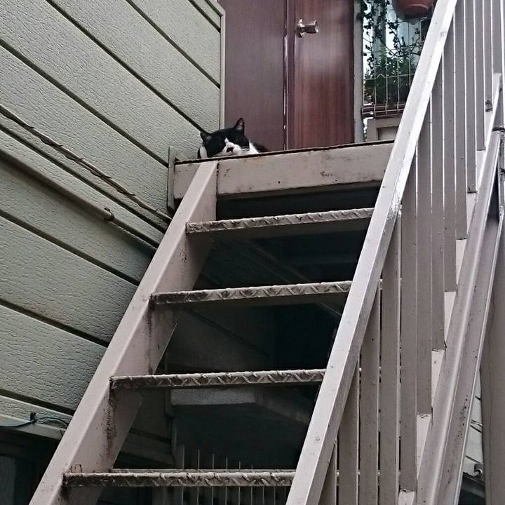 9c3ad049 049b 435b a9b9 8389327f6e08