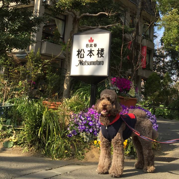 9c3b0a32 b980 4c27 91ad f7ab84588c1e