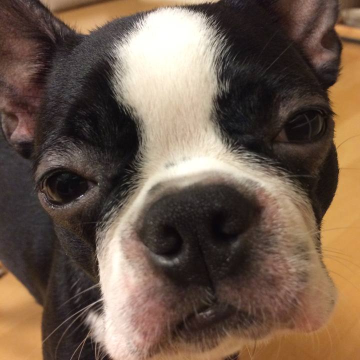 9c3b7534 097e 45e3 8f12 0dac8704027c