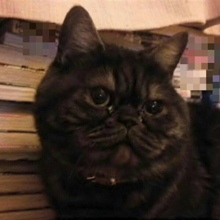 9c3b8823 9265 4c41 a6e6 293b6ce4b606