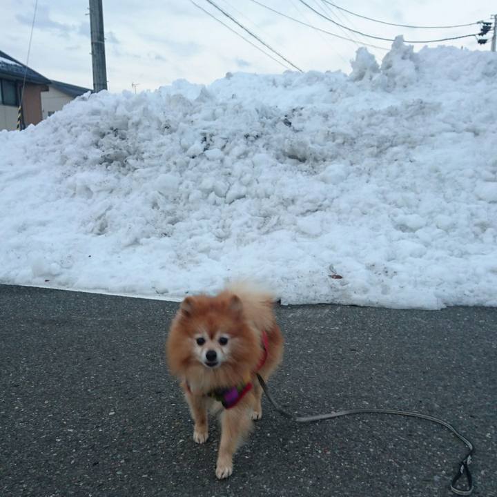 9c3bc269 5a28 4db8 a09f 516e639cd7db