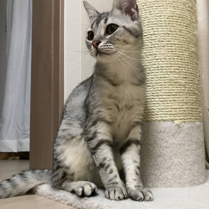 9c3cf9ae 4703 4521 a567 392e986c0233