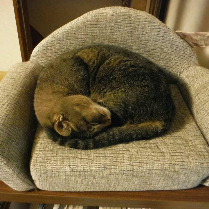 9c3d1454 bddf 455e 9f5b 941a1cff4c92