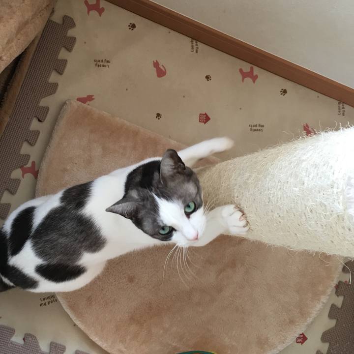 9c3d35a1 d7da 4e98 b923 15e330569846