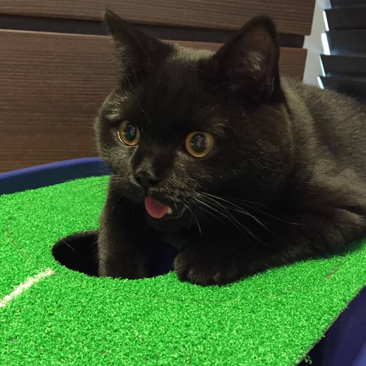 9c3d3cff 0088 4492 8e48 eb2bb4e858ca