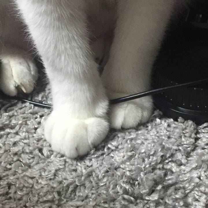 9c3e2393 ecd3 4bb3 b938 f4c1eed785bf