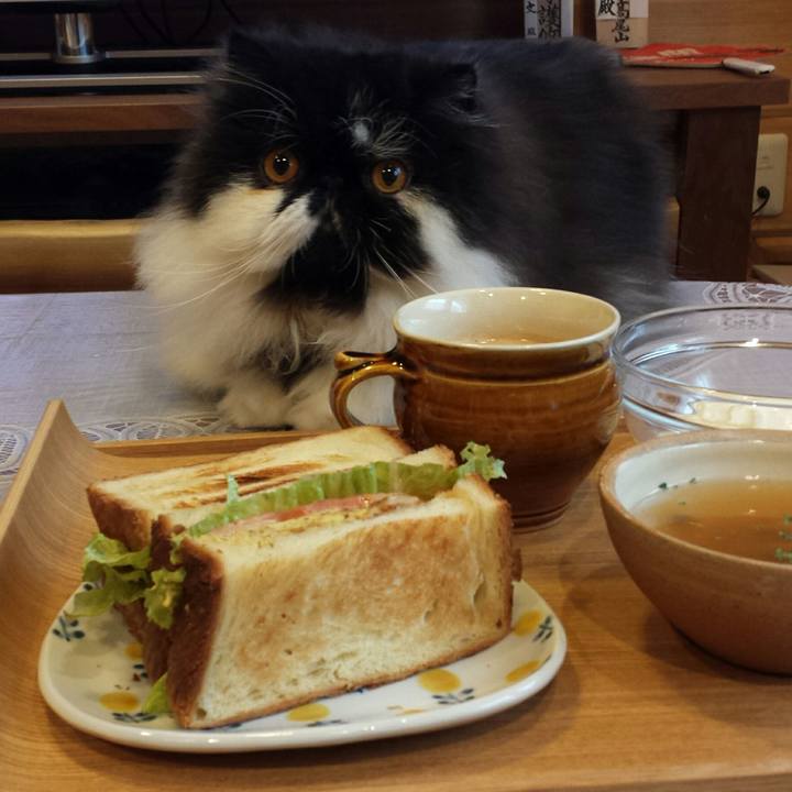 9c3e949d d33f 44fd bb3d 960c74d6afaa