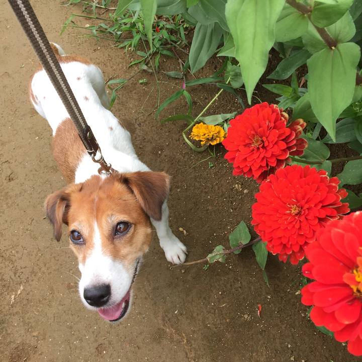 9c3f52d7 f8fa 41fd 9d2d 215551221b97