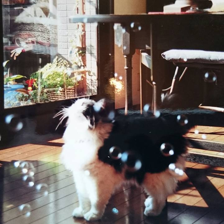 9c418313 d4ec 437d b542 23221c83e580