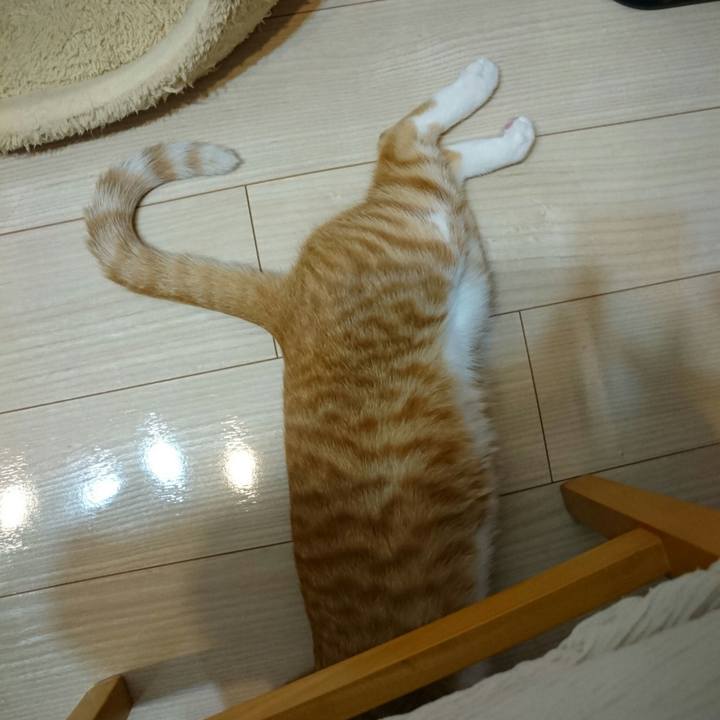 9c419bac f645 4631 89a0 825460262531