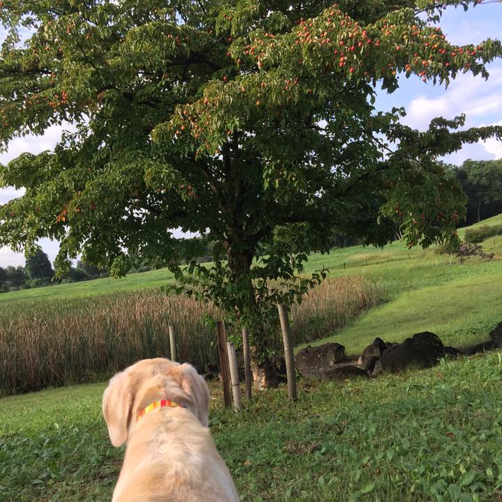 9c4225c5 d741 436c 95a8 f63c3a6f27a9