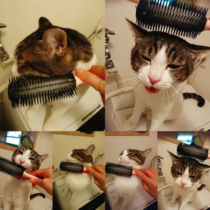 9c423199 5702 4e5c bf74 95fb2187932c