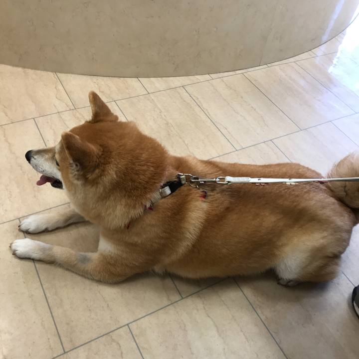 9c424a9e 7e2b 4328 a510 caaa4df5e005