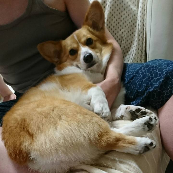 9c428008 ac56 4978 991c b6c11bb58964