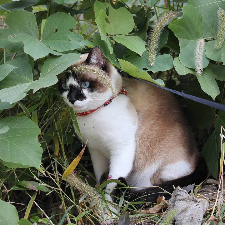 9c42a5a7 35fb 4a53 b713 85667645734e