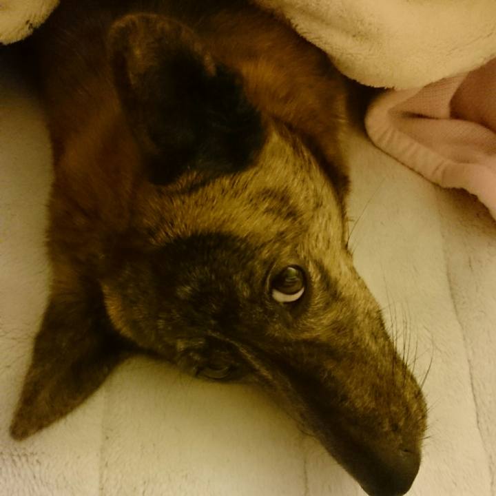 9c449d4e e65e 4732 b971 76d426532c10