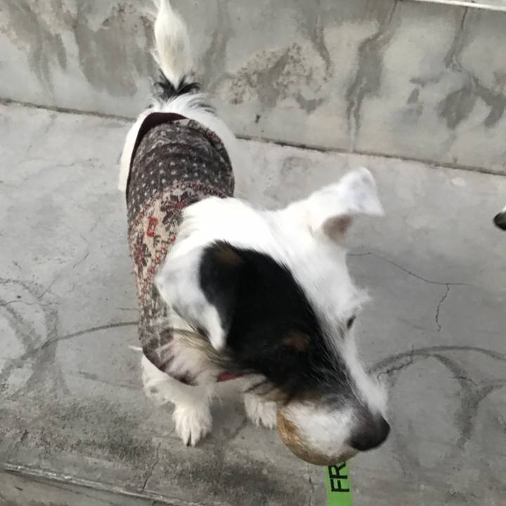 9c4594b1 f8b5 4d60 a3ab da6dcb993717