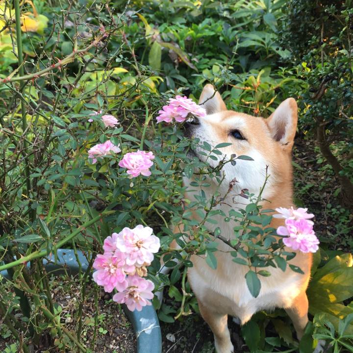 9c45cc6a 5d3c 43ae ad39 437ef1bc9f13