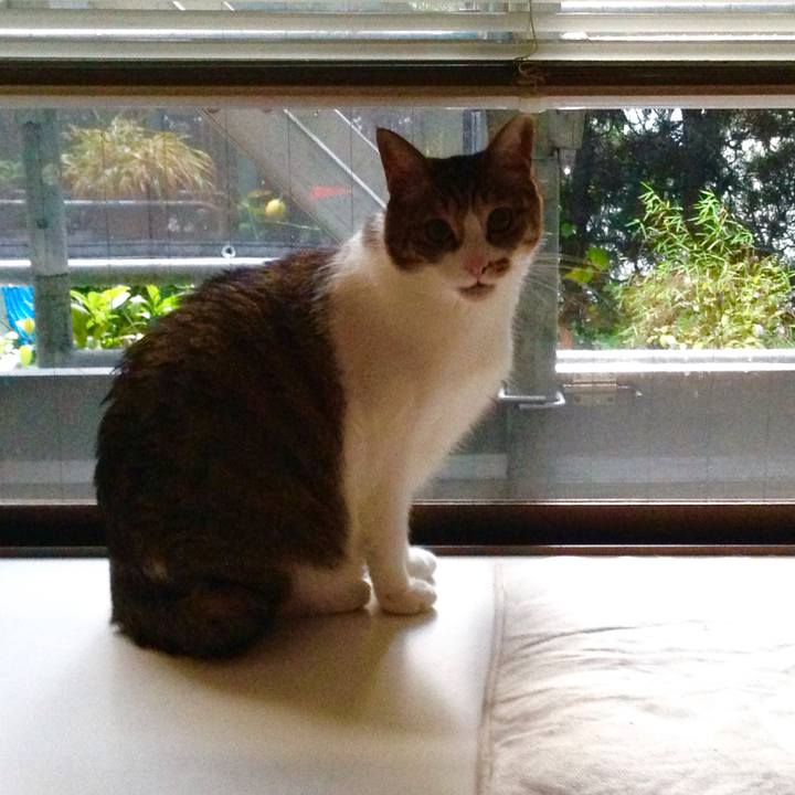 9c4659c1 e7a1 4ff6 b0ac a706d99e342d