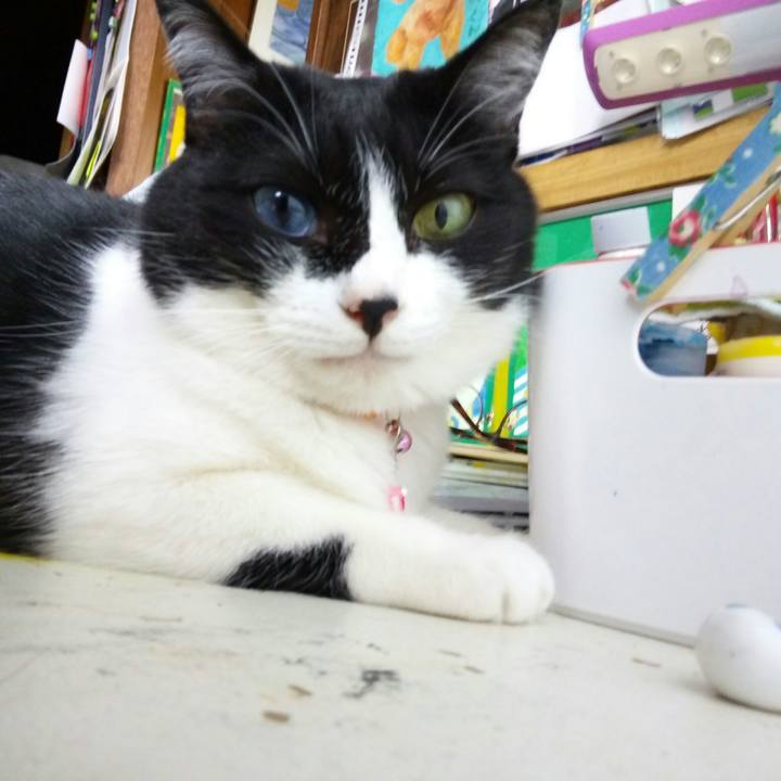 9c467075 806e 4c3b 948a 1591a866105f