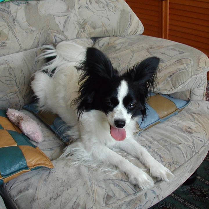 9c475b80 2557 4fbb a1dd 4d334a661462