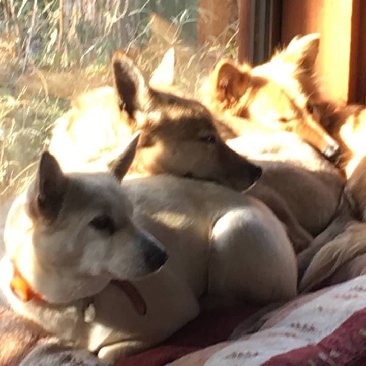 9c48b32f bfe9 4f06 a4fe d724d71d4cb5