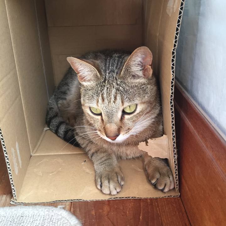 9c492291 71fd 4cd9 91db f1bb12589e6d