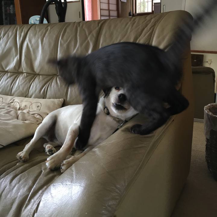 9c4933f9 8d84 4aea 9161 8db7089175f4