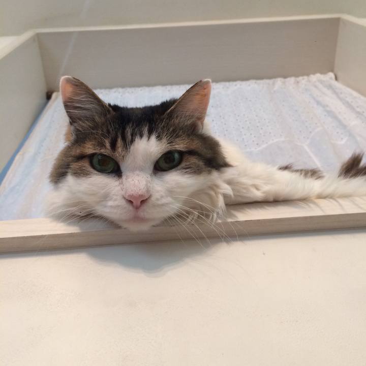 9c493de5 0072 40f5 9d5f eadd1596e125