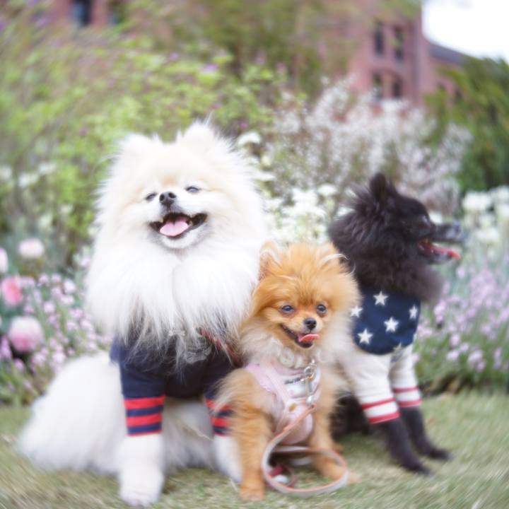 9c496960 a5ae 4990 b778 9de8ec88f400