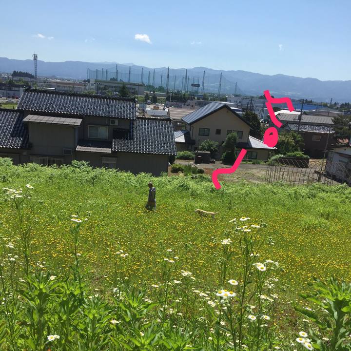 9c496b62 3f23 48b8 adaa 3b66899d4276