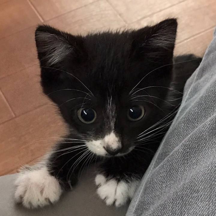 9c4a0b36 d2fc 4376 a080 33ab6b2c60ee