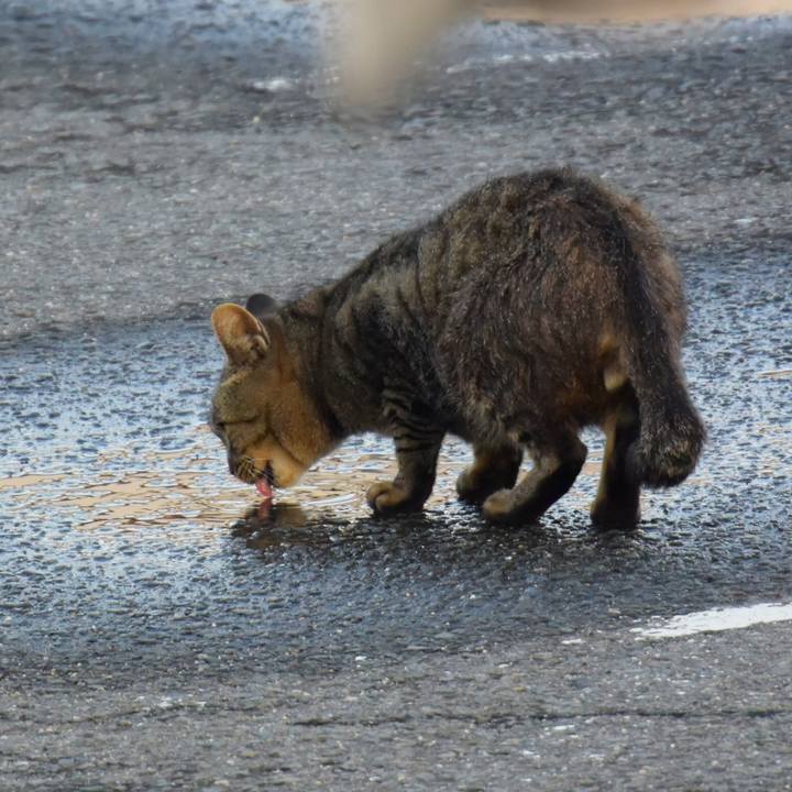 9c4a1909 4544 44d2 81e2 2de2c1875244