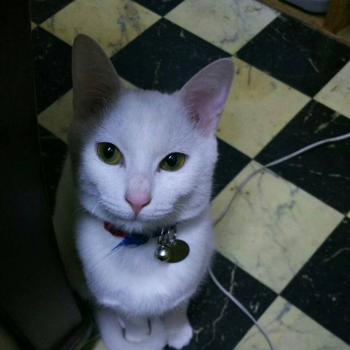 9c4a263d 3a53 4d3c 872f c9dd4bfe4fa5